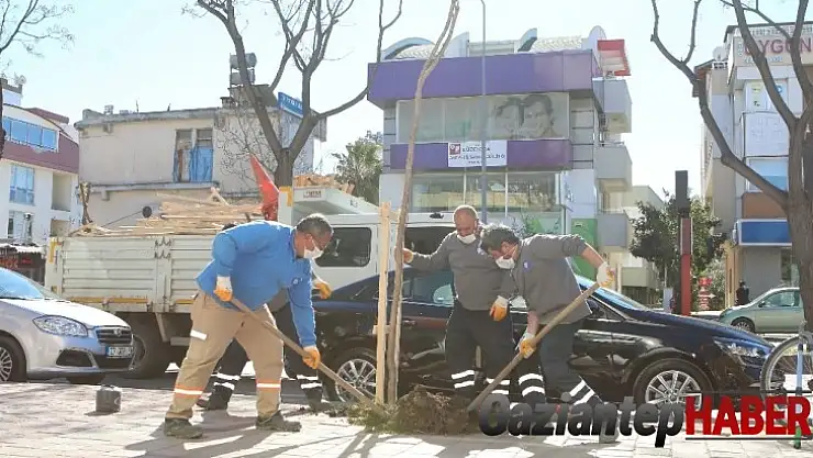 Caddeler turunç, erguvan, bahunya kokacak