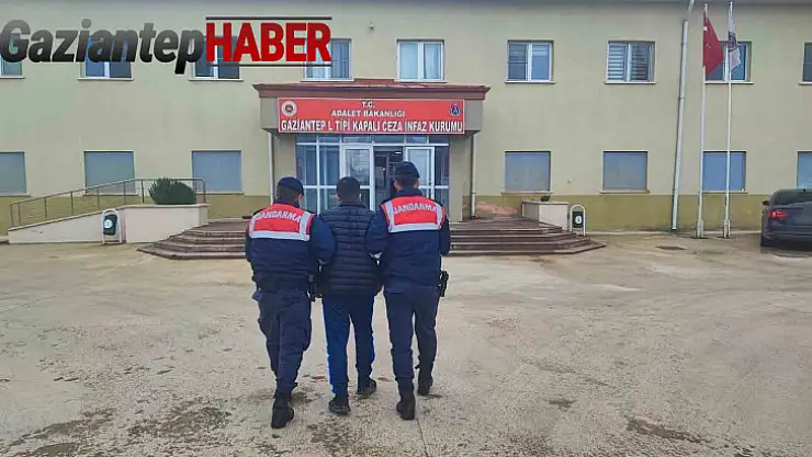Çaldığı küçükbaş hayvanları satan şüpheli tutuklandı