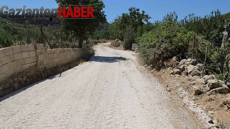 Cerityeniyapan'da, tüm yollar kilitli parke taşıyla döşenecek