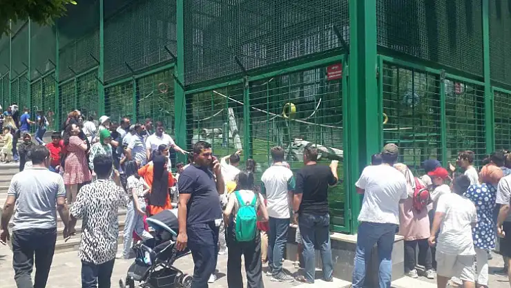 Doğal yaşam parkı, bayram tatilinde yüz bin ziyaretçi ağırladı