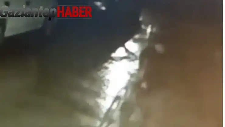 Emek Mahallesi'nde Yaşanan Hırsızlık: Zeytin Yağı ve Bisiklet Çalındı!