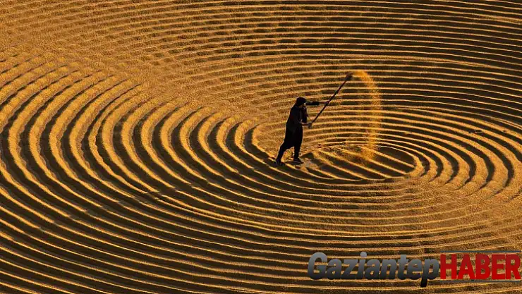 En güzel hasat mevsimi fotoğrafları aranıyor