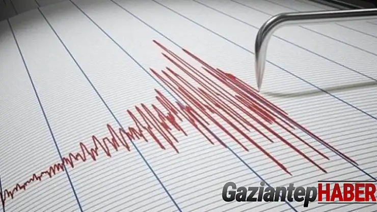Erzincan'da 2.4 büyüklüğünde deprem