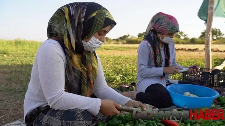 Ezo gelinler tarım okulu ile hayata tutundu