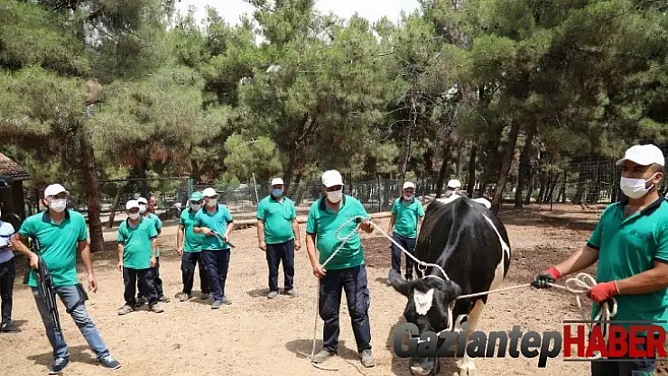Kaçan kurbanlara droneli çözüm
