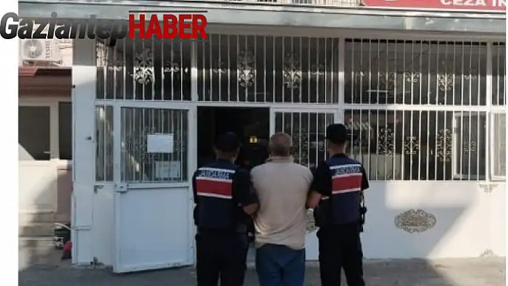 Fıstık hırsızlığına jandarmadan suçüstü: 3 tutuklama