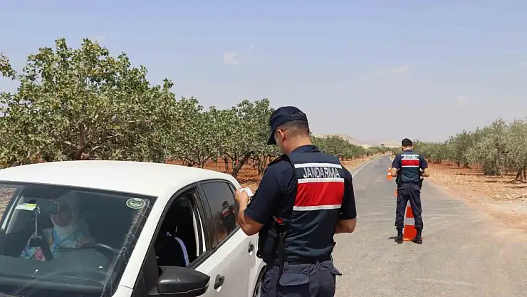 Fıstık hırsızlığına karşı jandarmadan sıkı denetim