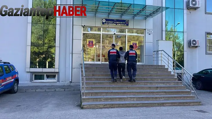 Gaziantep Jandarma hırsızlara göz açtırmıyor