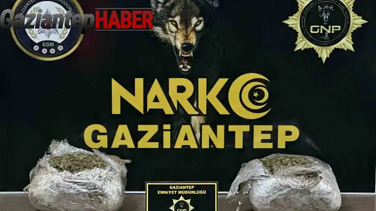 Gaziantep'te 1.5 kilogram skunk ele geçirildi