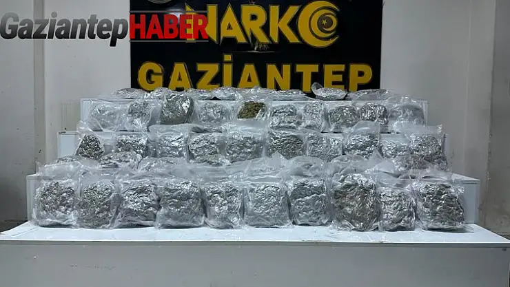 Gaziantep'te 24 kilo skunk ele geçirildi