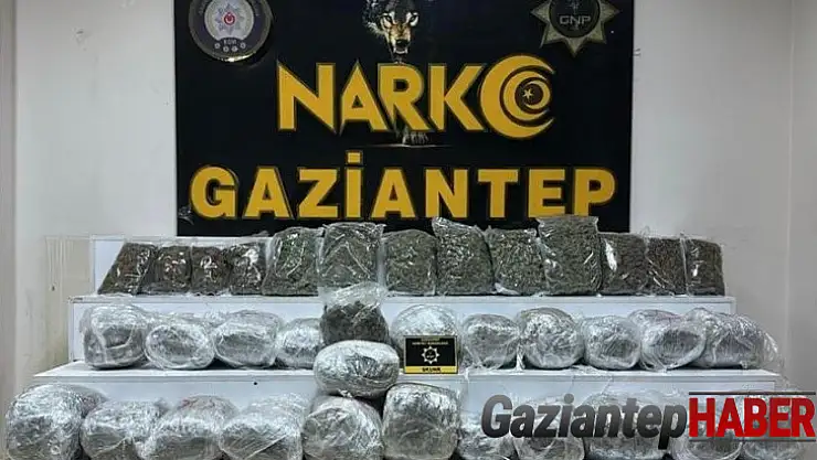 Gaziantep'te 28 kilo 400 gram skunk ele geçirildi