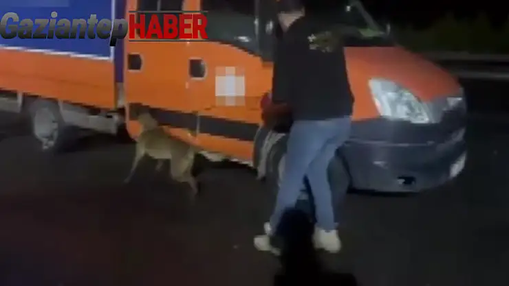 Gaziantep'te 28 kilo skunk ele geçirildi: 2 tutuklama