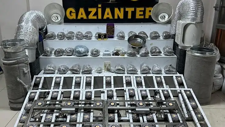 Gaziantep'te 32 kilo skunk ele geçirildi