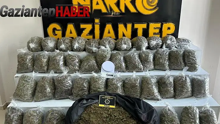 Gaziantep'te 56 kilo esrar ele geçirildi