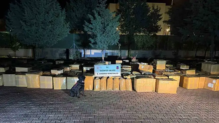 Gaziantep'te 7 ton kaçak tütün ele geçirildi: 1 gözaltı