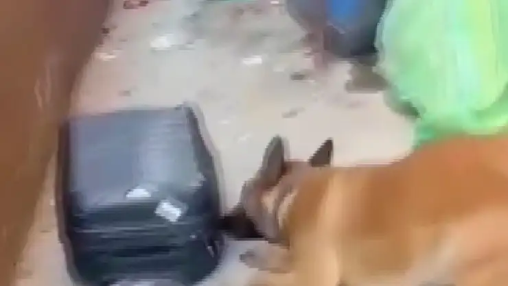 Gaziantep'te 950 gram metamfetimin ele geçirildi: 3 şahıs tutuklandı