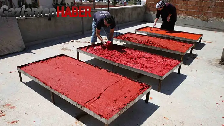 Gaziantep'te biber salçası mesaisi başladı