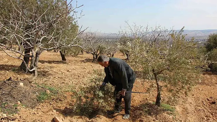 Gaziantep'te çiftçilerin umudu bahar yağmurlarında