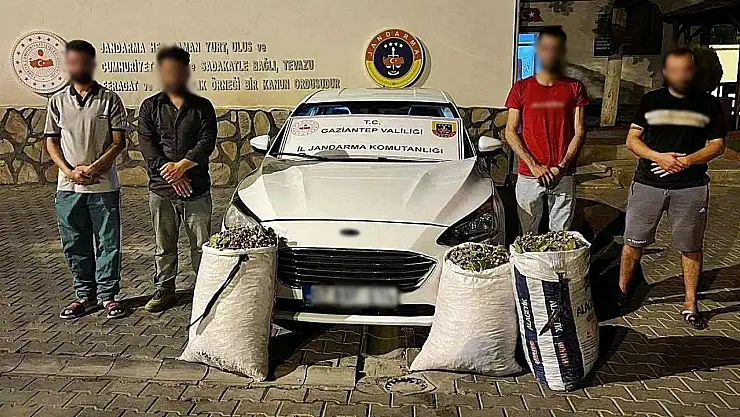 Gaziantep'te hırsızlık şüphelisi 24 şahıs yakalandı