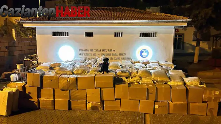 Gaziantep'te kargo aracında 5 milyon TL'lik kaçak tütün ele geçirildi