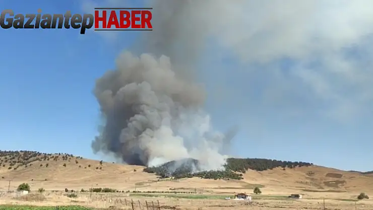 Gaziantep'te korkutan orman yangını