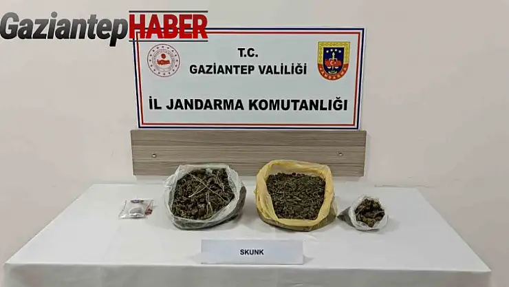 Gaziantep'te skunk operasyonu: 1 tutuklama