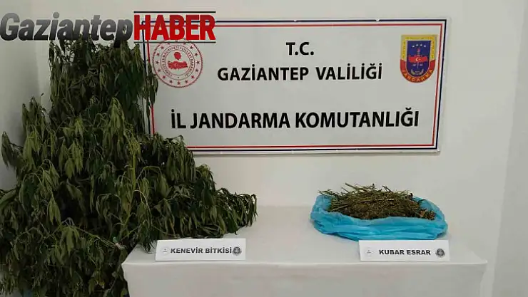Gaziantep'te uyuşturucu operasyonu: 1 gözaltı