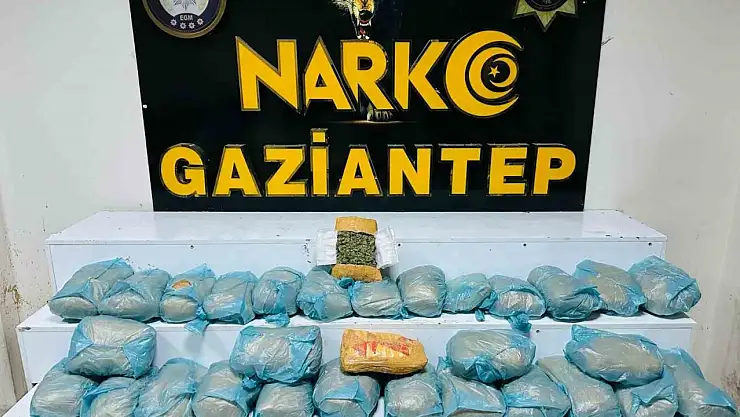 Gaziantep'te uyuşturucu operasyonlarında 203 kişi tutuklandı