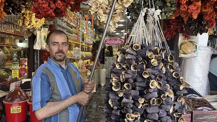 Gaziantep'te yeni mahsul kurutmalıklar tezgahlarda
