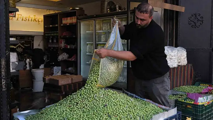 Gaziantep'te yeşil zeytin fiyatları sabit kaldı