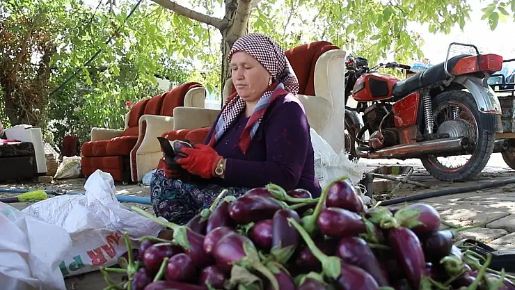 Gaziantepli kadınların kurutmalık mesaisi devam ediyor