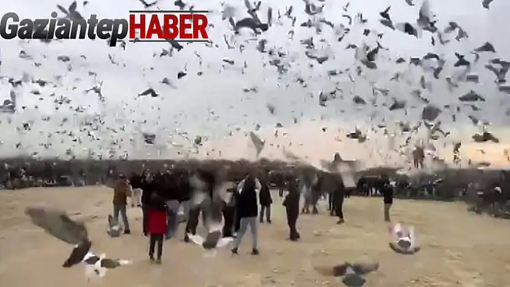 Gazze'deki çocukların özgürlüğü için binlerce güvercin gökyüzüne bırakıldı