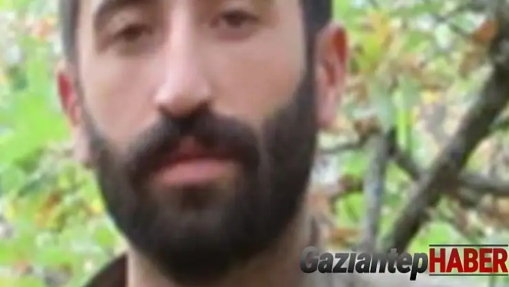 Gri listedeki bir terörist daha etkisiz hale getirildi