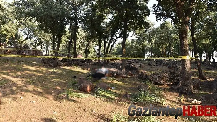 Haber alınamayan şahıs ormanlık alanda ölü bulundu