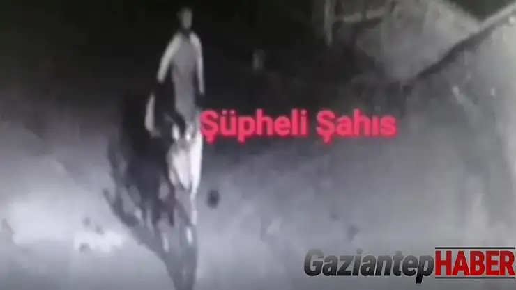 Hırsızlık şüphelileri yakalandı