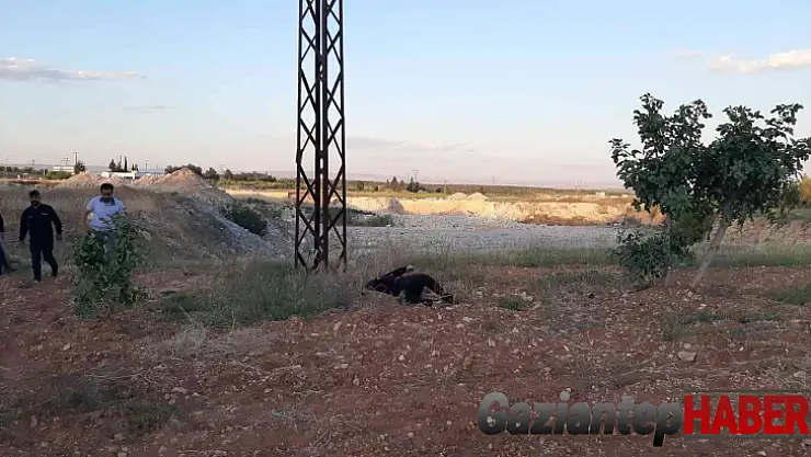 Hırsızlık zanlısının feci sonu