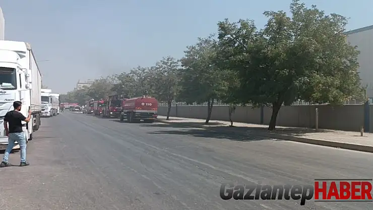 İHA muhabirini canlı yayında dövüp gasp ettiler