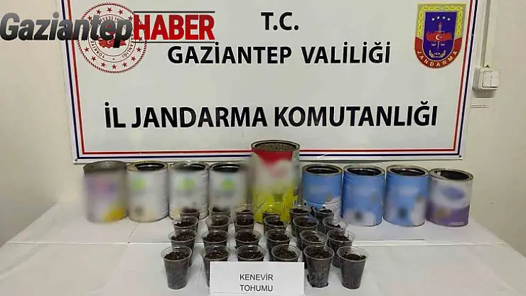 Jandarmadan uyuşturucu operasyonu