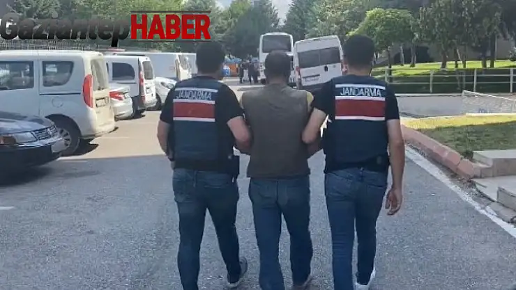 Jandarmadan uyuşturucu ve kaçakçılık operasyonu: 1 şahıs tutuklandı