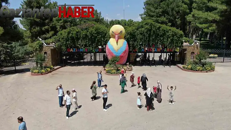 Kavurucu sıcaklarda hayvanlar buzlu kokteyl ile serinliyor