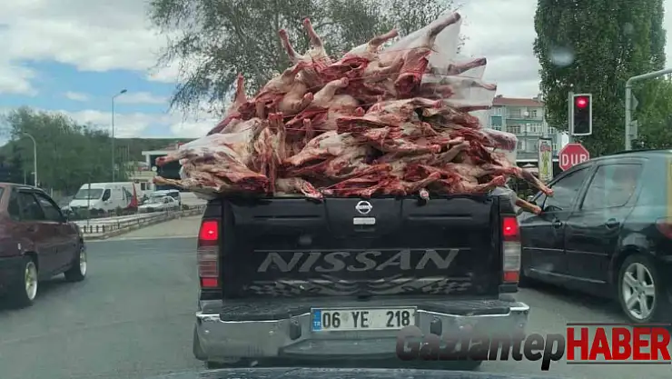 Kilolarca et kamyonet kasasında hiç bir önlem alınmadan taşındı