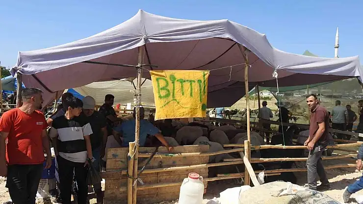 Kurban Bayramı'nın ilk günü hayvan pazarları dolup taştı