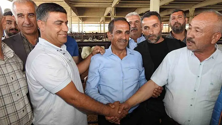 Kurban Bayramı öncesi hayvan pazarları hareketlendi