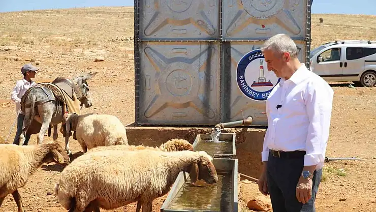 Meralarda açılan kuyularla küçükbaş hayvanların su ihtiyacı karşılanıyor