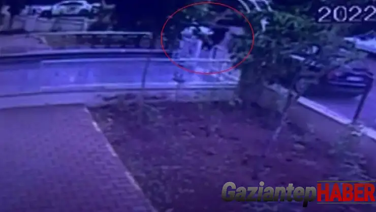 Meslektaşına saldıran diş hekiminden yazılı açıklama