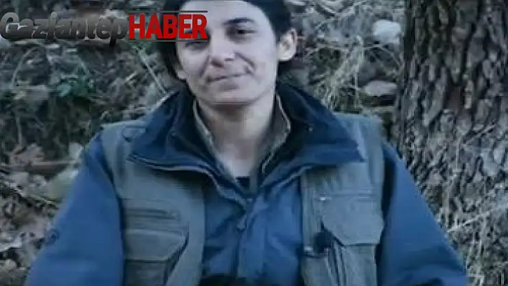 MİT'ten, terör örgütü PKK/KCK'nın sözde gençlik yapılanması sorumlusuna nokta operasyon