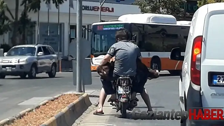 Motosiklete iki kişi ve bir koyun bindiler