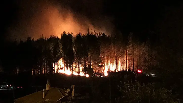 Muğla'da orman yangını