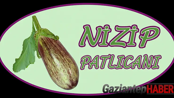 Nizip Patlıcanı'nı Tescilledi