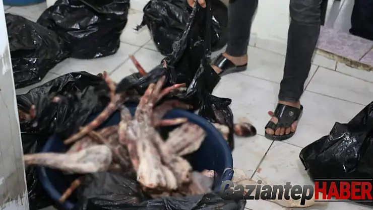 Nizip'te piyasaya sürülmeye çalışılan kokmuş et ele geçirildi